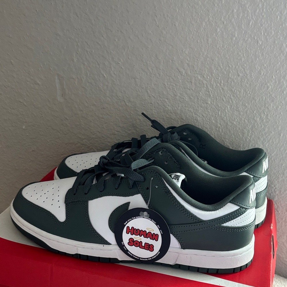 Brand new Nike dunk low